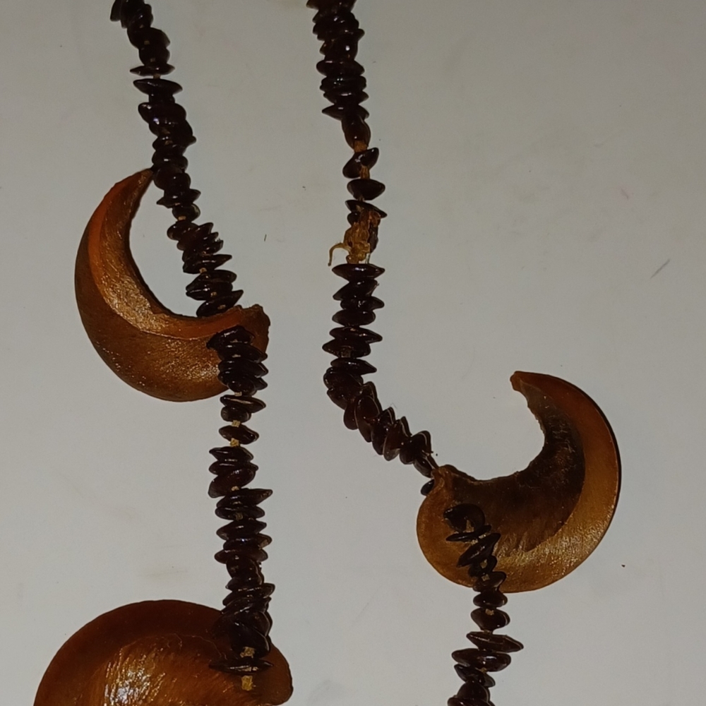 VTG BOHO 60s Hippie Chic Occult Pagan Apple Seeds and pods  handmade necklace